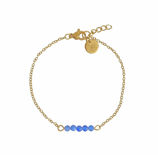 Armband Blauer Aventurin & Palmblatt – Gold