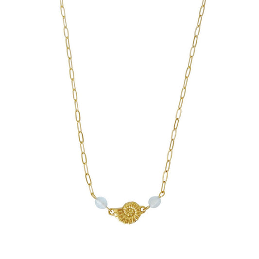 Muschelkette Aquamarin – Gold